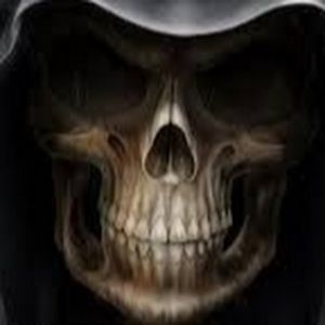 Meet your Posher, Dillon